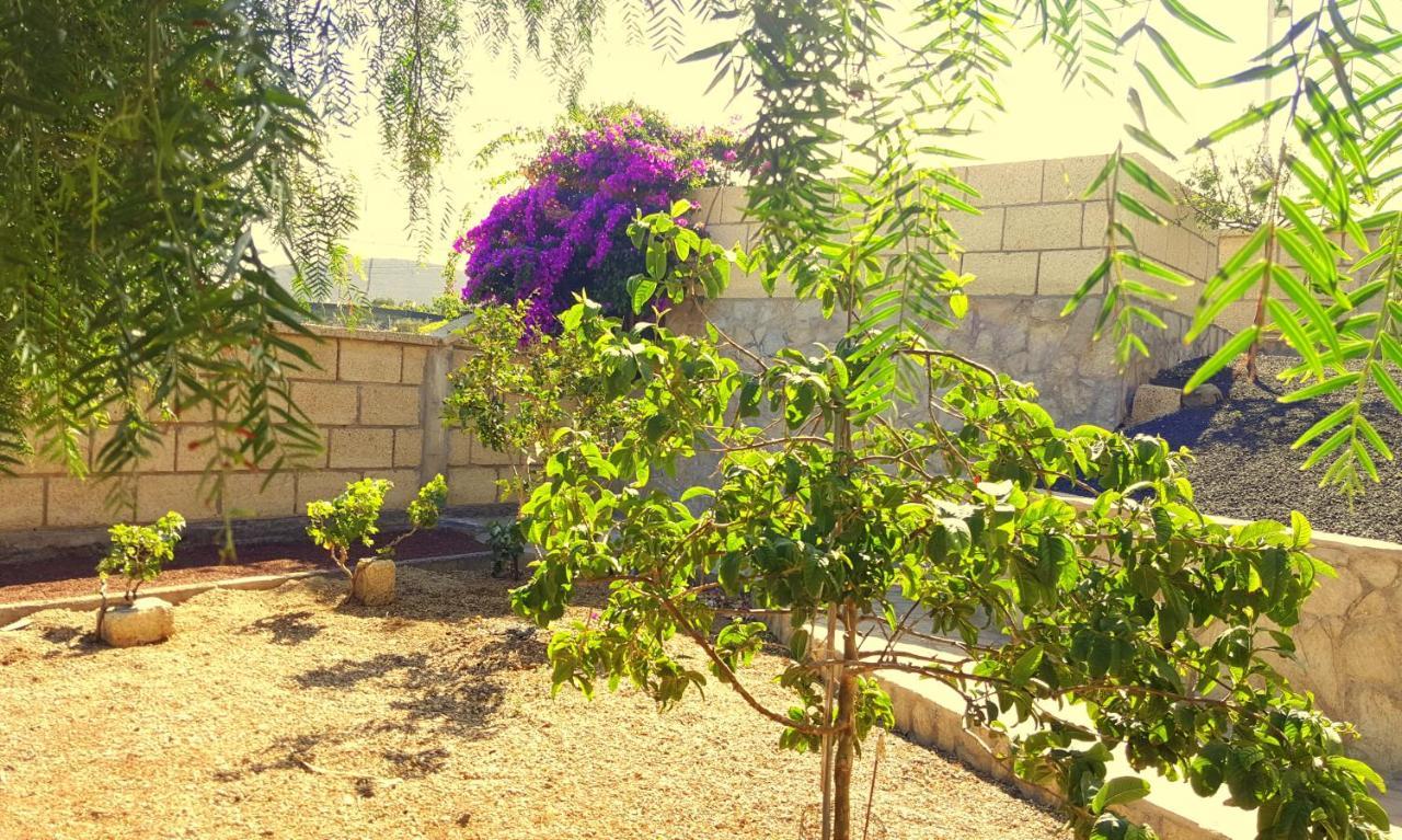 Casa Del Sur, En El Sur De Tenerife Villa Granadilla De Abona Dış mekan fotoğraf