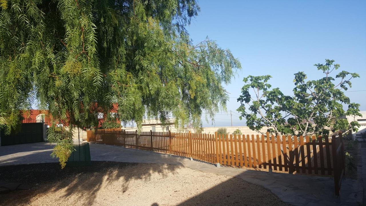 Casa Del Sur, En El Sur De Tenerife Villa Granadilla De Abona Dış mekan fotoğraf