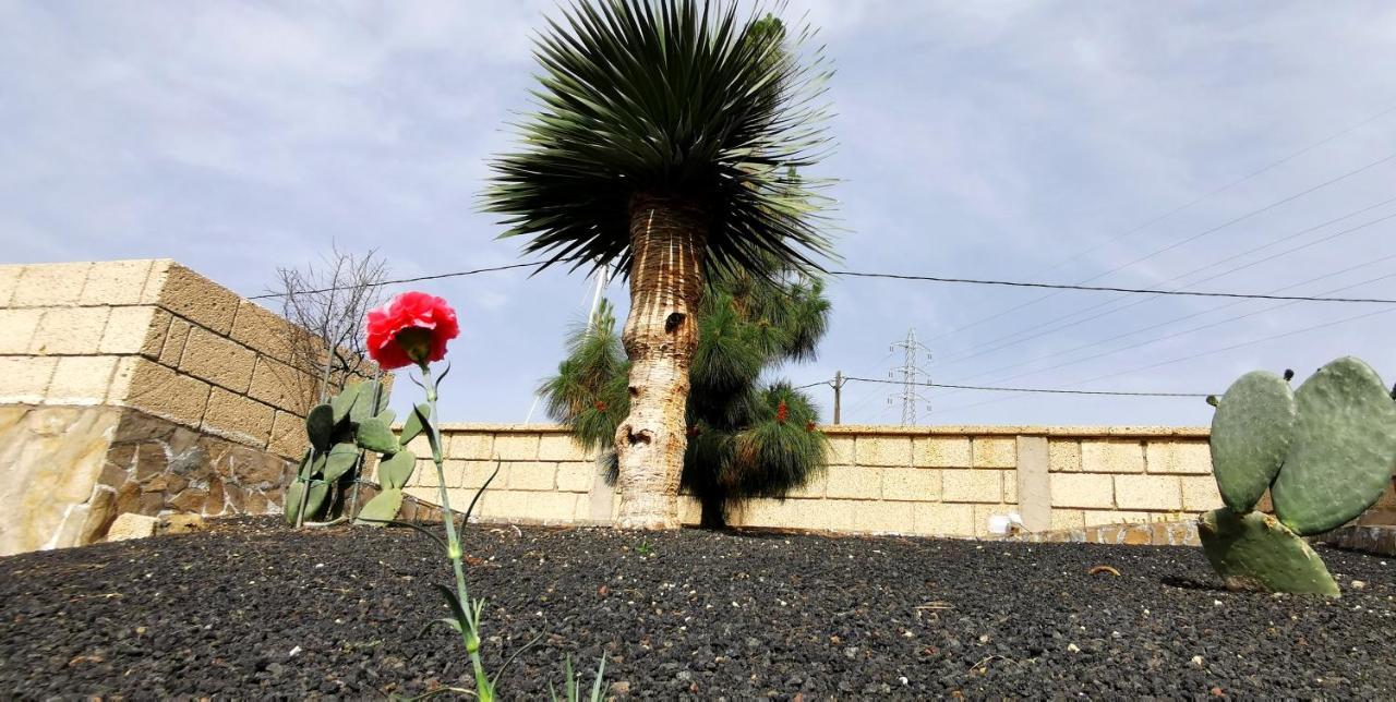 Casa Del Sur, En El Sur De Tenerife Villa Granadilla De Abona Dış mekan fotoğraf