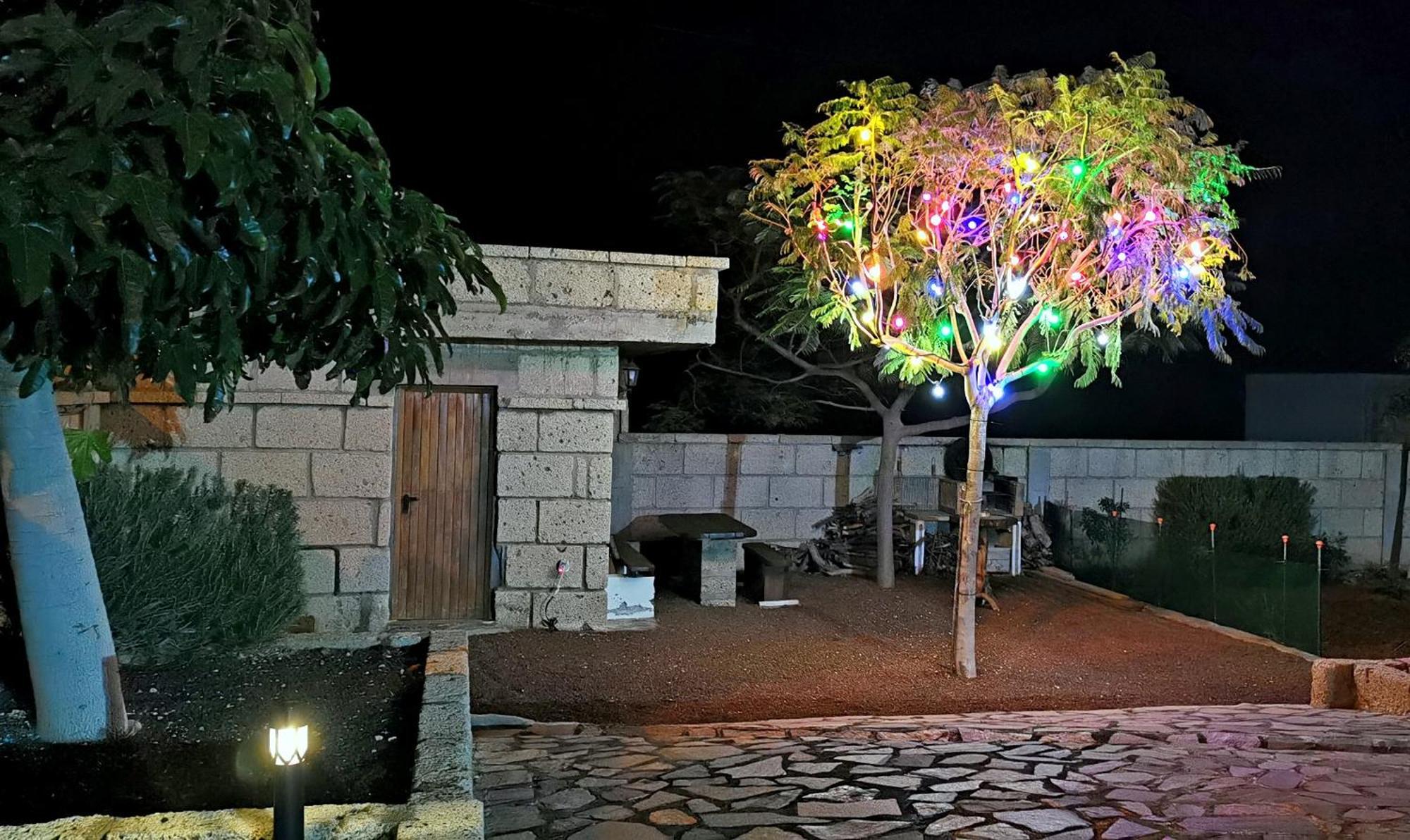 Casa Del Sur, En El Sur De Tenerife Villa Granadilla De Abona Dış mekan fotoğraf